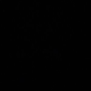 Meet your Posher, Stephan